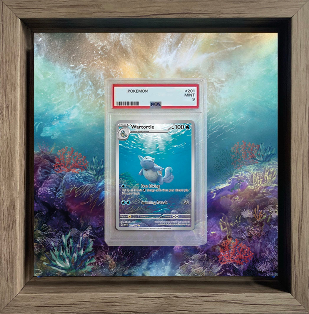 Schillok / Wartortle 151