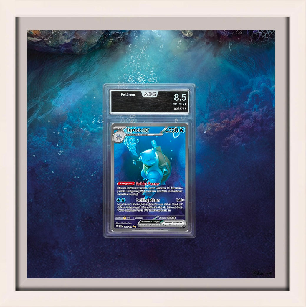 Turtok / Blastoise 151