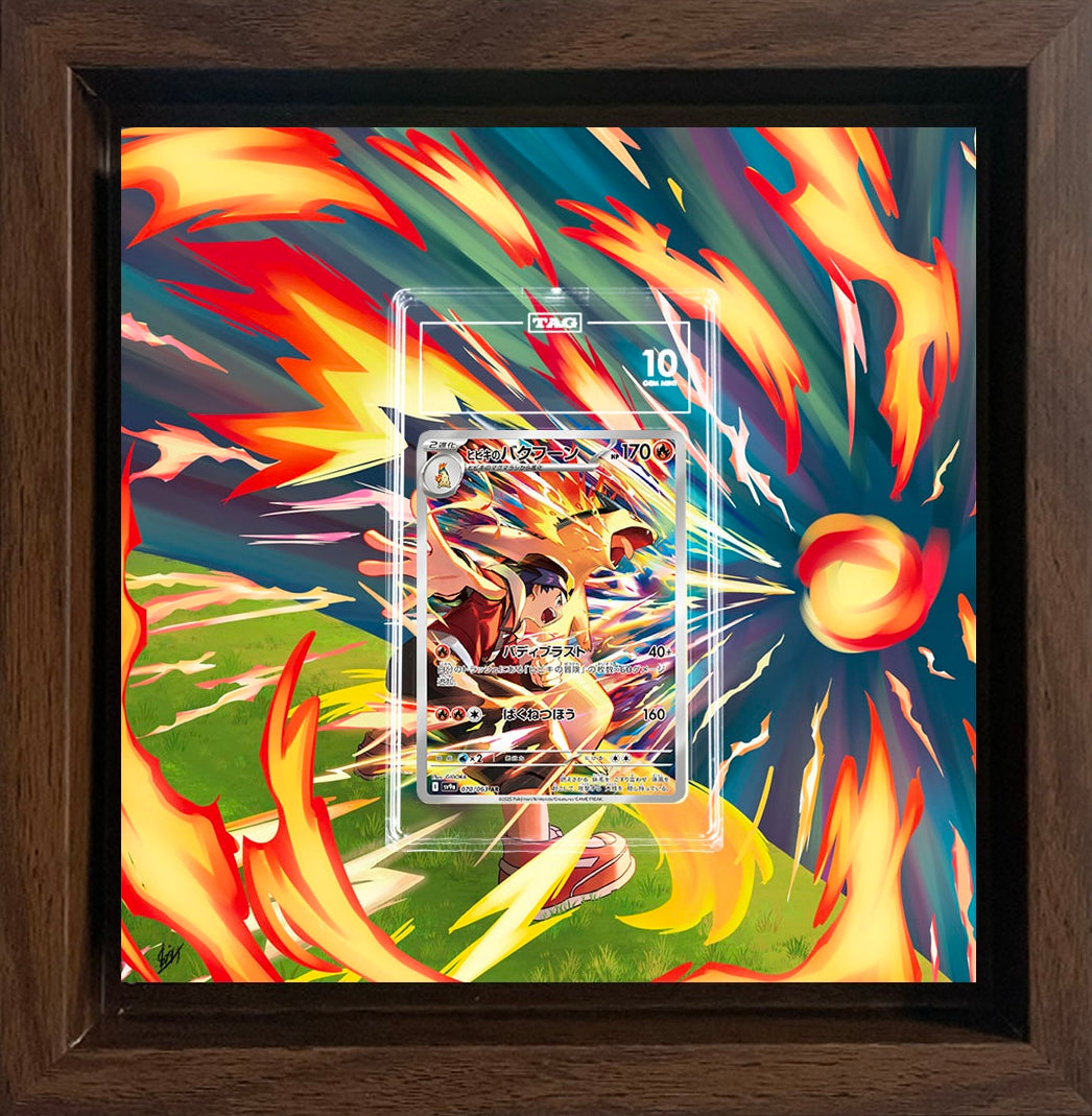 Ethan`s Typhlosion / Tornupto