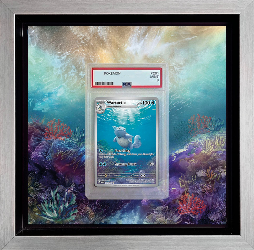 Schillok / Wartortle 151