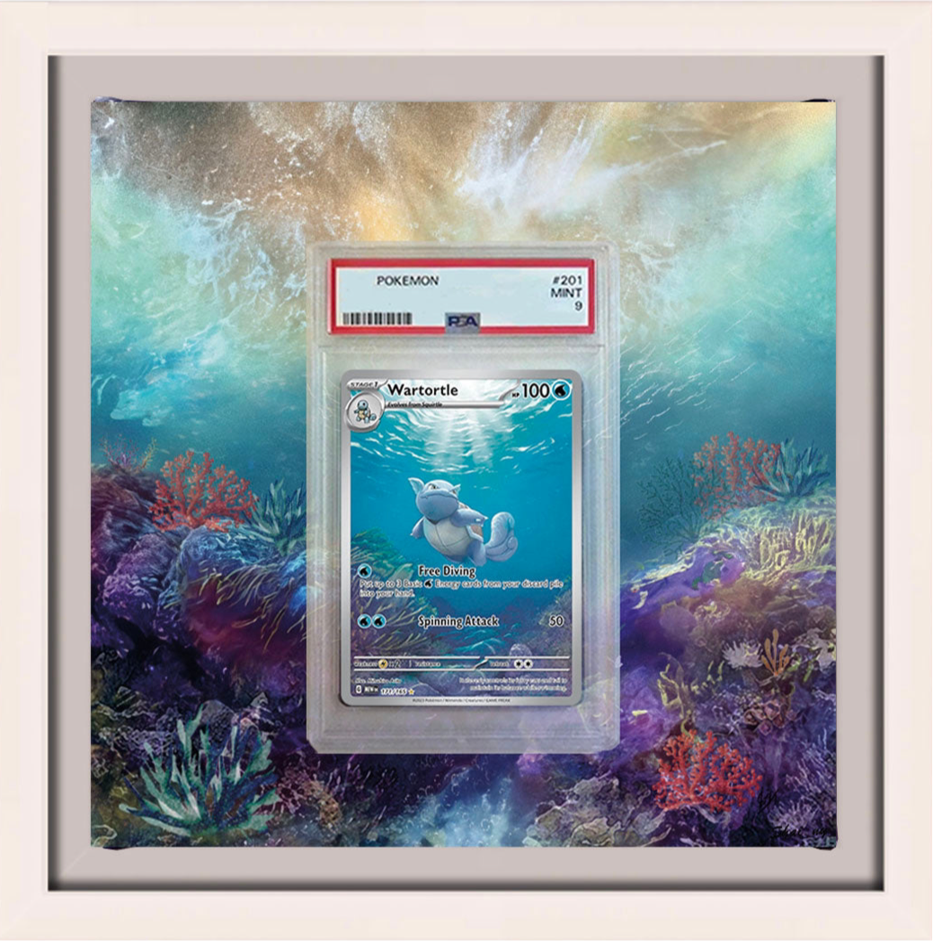 Schillok / Wartortle 151