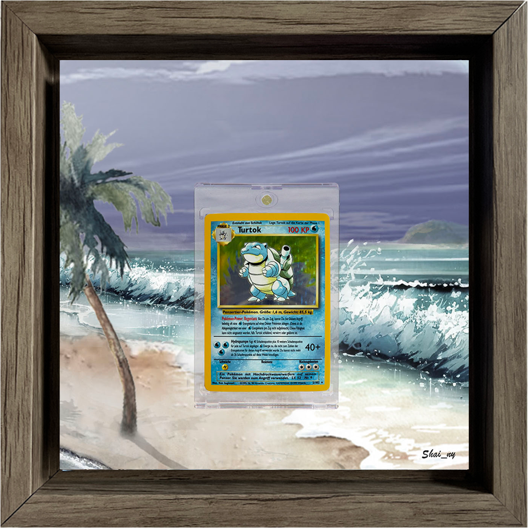 Ensemble de base Tortok