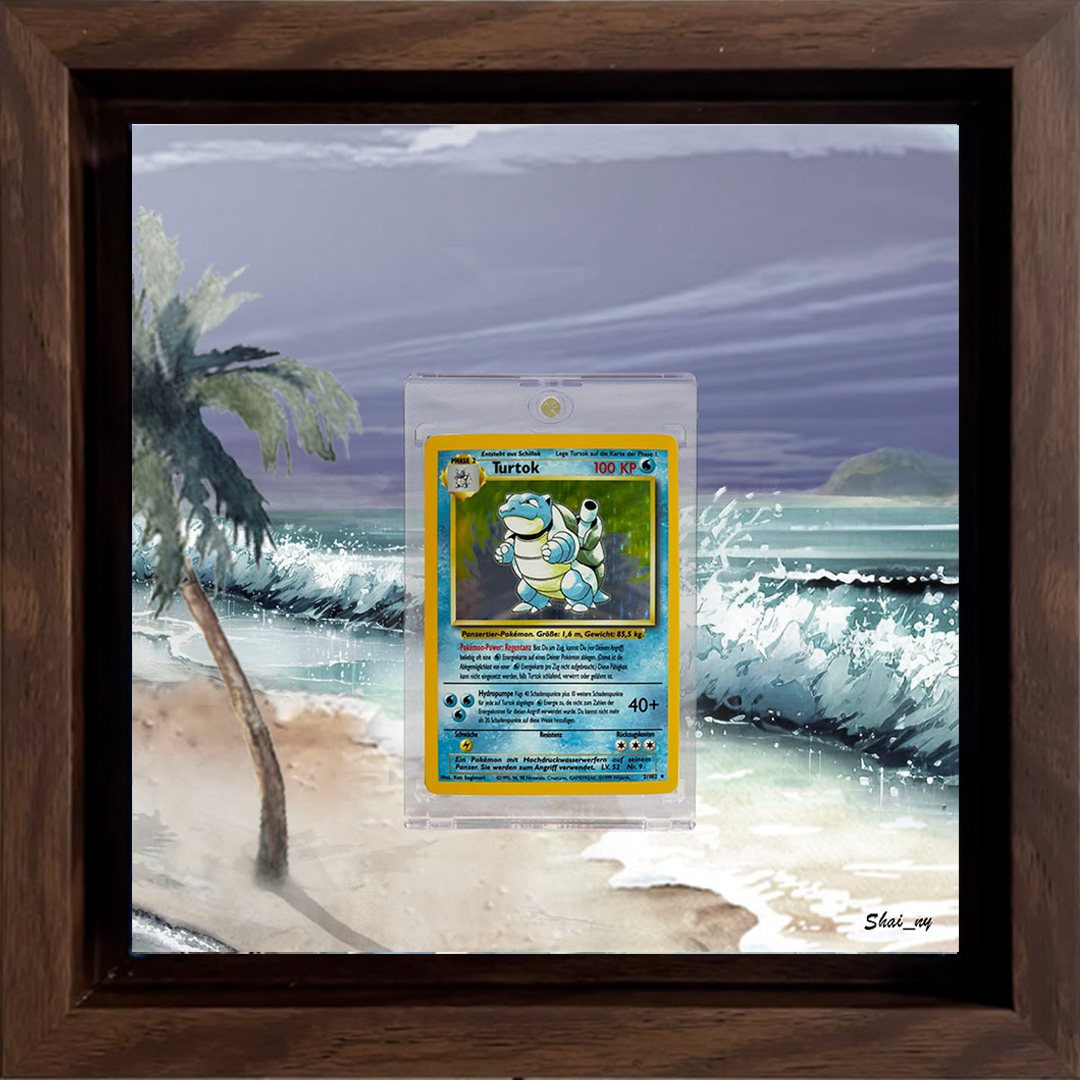 Ensemble de base Tortok