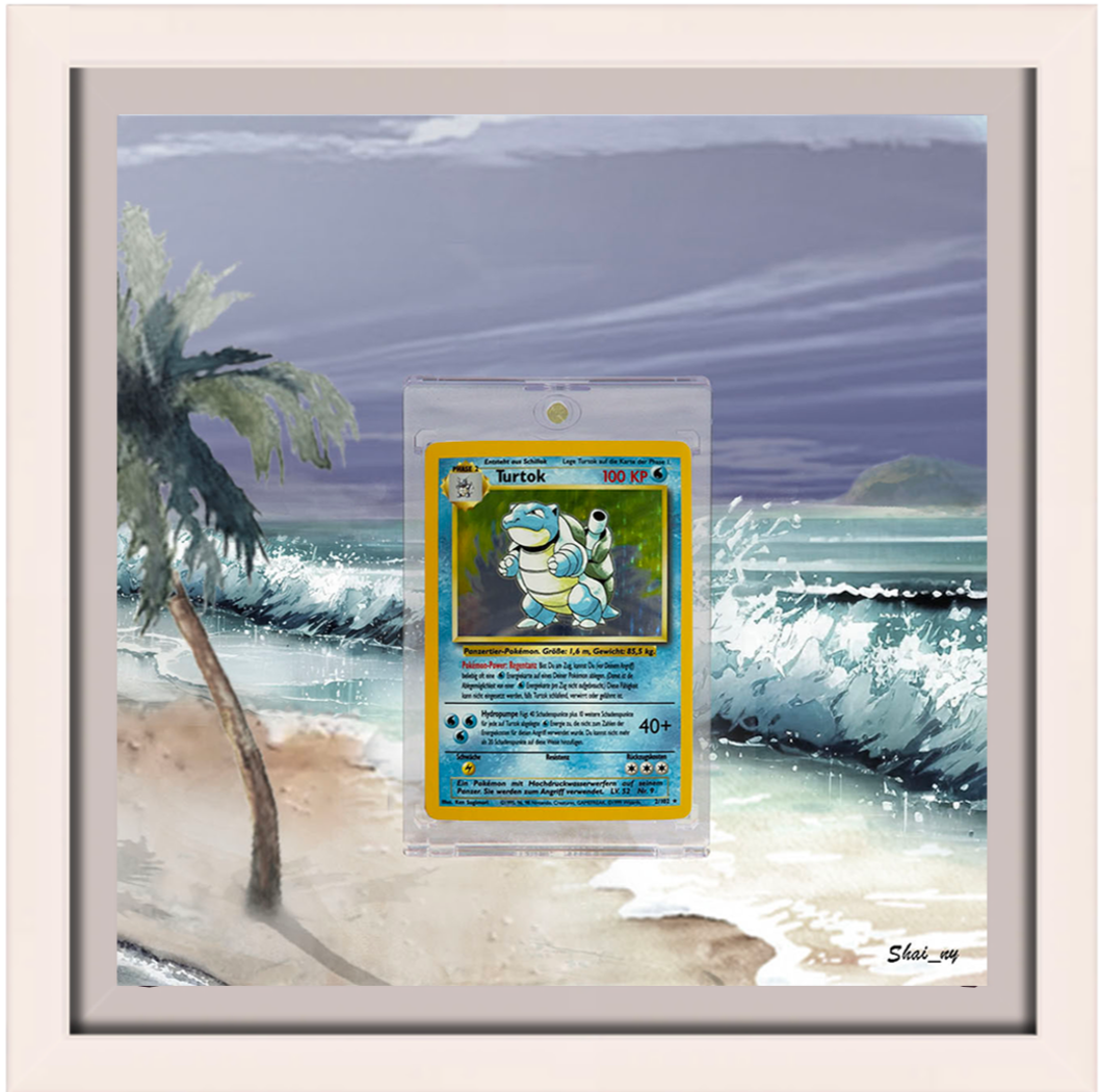 Ensemble de base Tortok