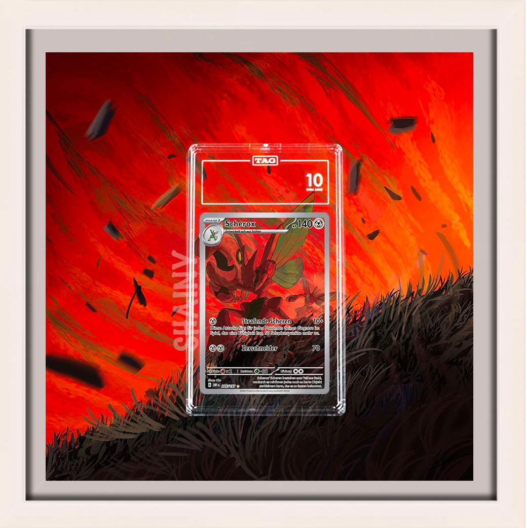Scherox / Scizor AR
