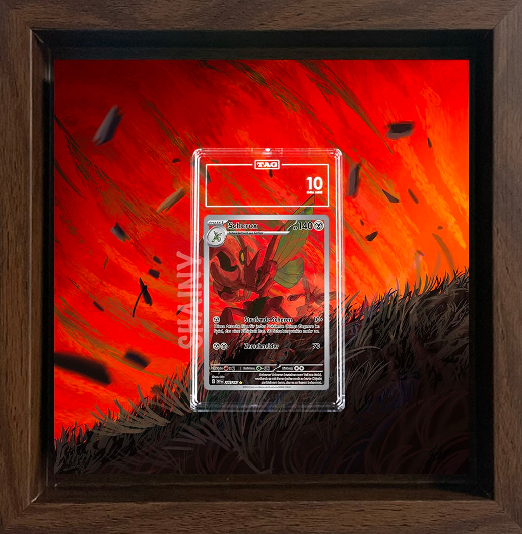Scherox / Scizor AR